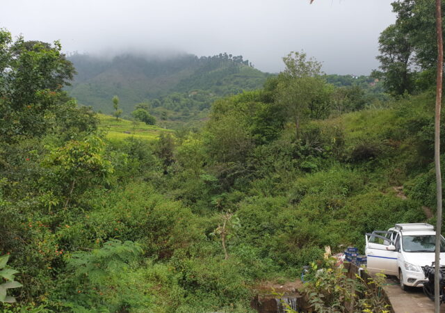 Dr. Suraj A. Dhirwani - High Risk Pregnancy App, MoHFW, Himachal Pradesh - _114650