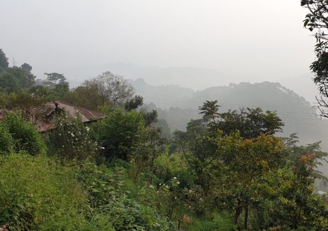 Dr. Suraj A. Dhirwani - High Risk Pregnancy App, MoHFW, Himachal Pradesh - _170924